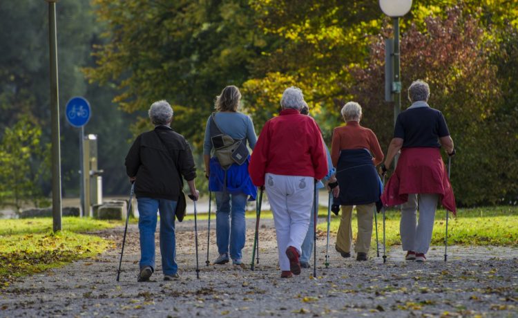 Letní vycházka  Nordic Walking