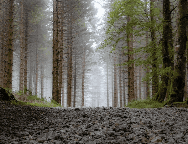 ONLINE: 840 km sám pěšky přes Pyreneje (Jakub Šolc)