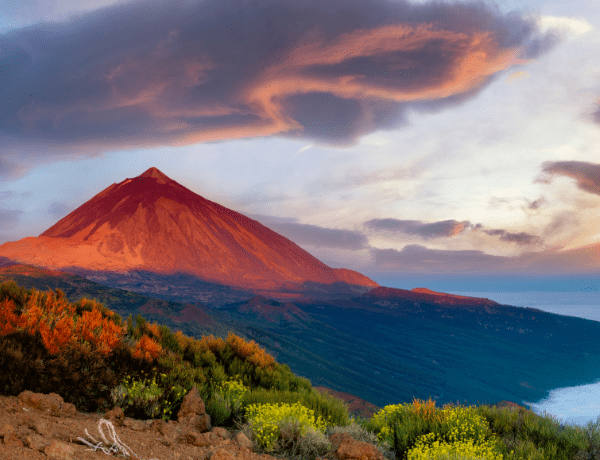 ONLINE: Kanárské ostrovy (La Gomera a Tenerife) – Karel a Jana Wolfovi