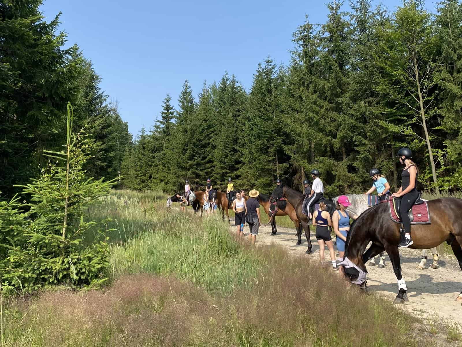 Letní tábory u koní jsou stále oblíbené. A Vysočina nabízí pro prázdniny v sedle skvělé podmínky. Většina táborů není jen o projížďkách. Děti se učí také péči o koně a správnému […]
